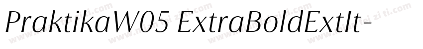 PraktikaW05 ExtraBoldExtIt字体转换